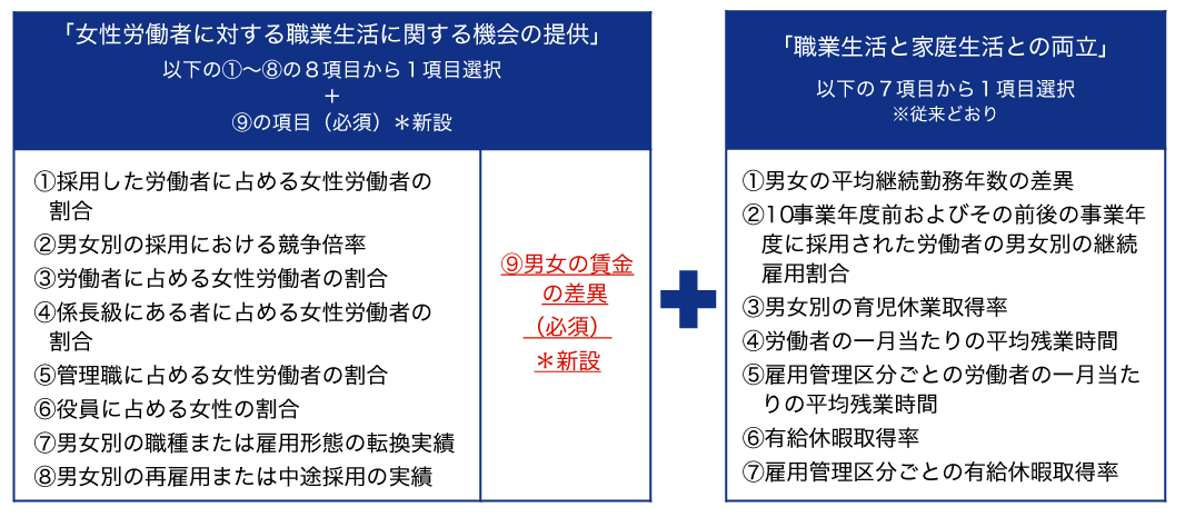 各区分の情報公表項目